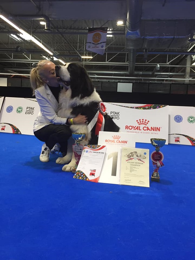 44023188-2245832085458333-5393803157916614656-n.jpg Estike -Bérczy Baileys 2018.10.13 Európa Veterán Győztes és Lengyel Bajnok