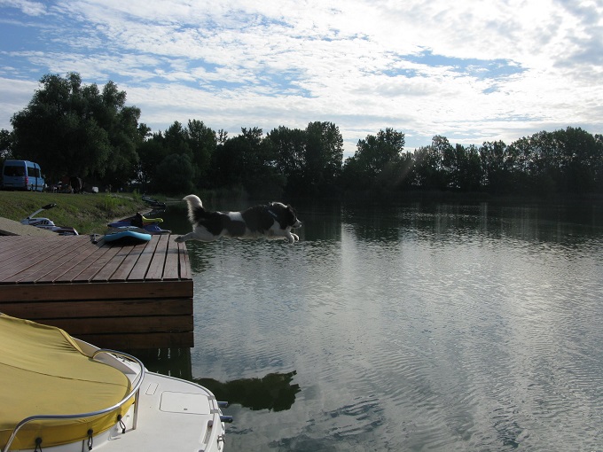 66109920-420111315381932-8796213702199083008-n.jpg Baileys akció közben: