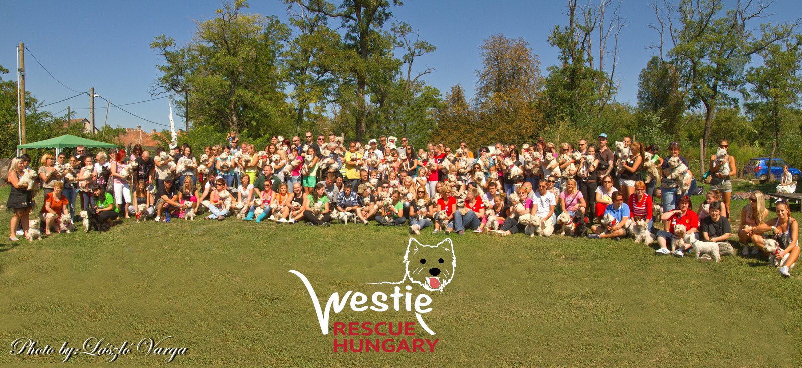 http://westierescuehungary.hu 