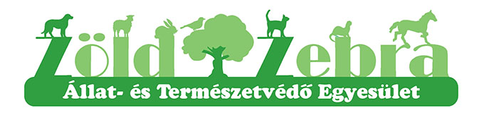 Z&Ouml;LD ZEBRA &Aacute;LLAT- &Eacute;S TERM&Eacute;SZETV&Eacute;DŐ EGYES&Uuml;LET