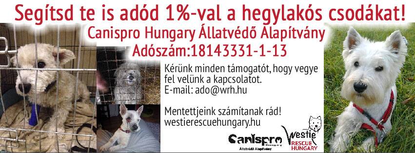 Westie Rescue Hungary
