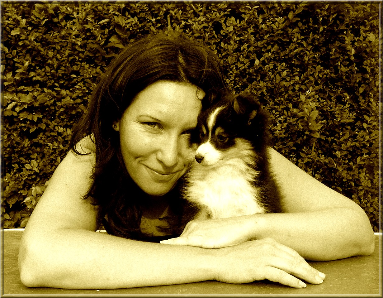 Sherborne Collie & Sheltie kennel