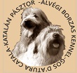 Délvidéki Pásztor katalán pásztorkutya, délorosz juhászkutya kennel