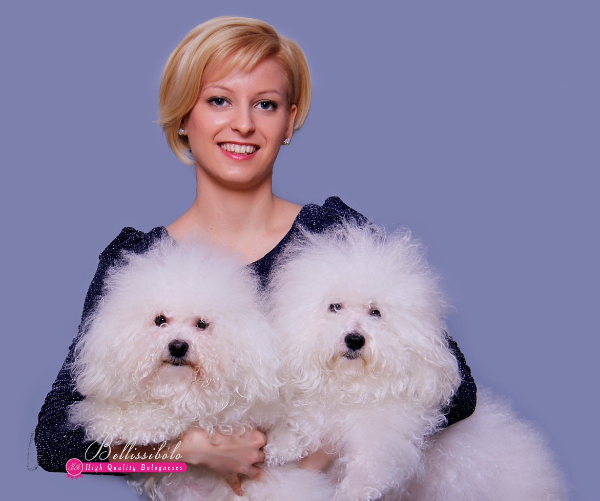 Bellissibolo Bolognese Kennel
