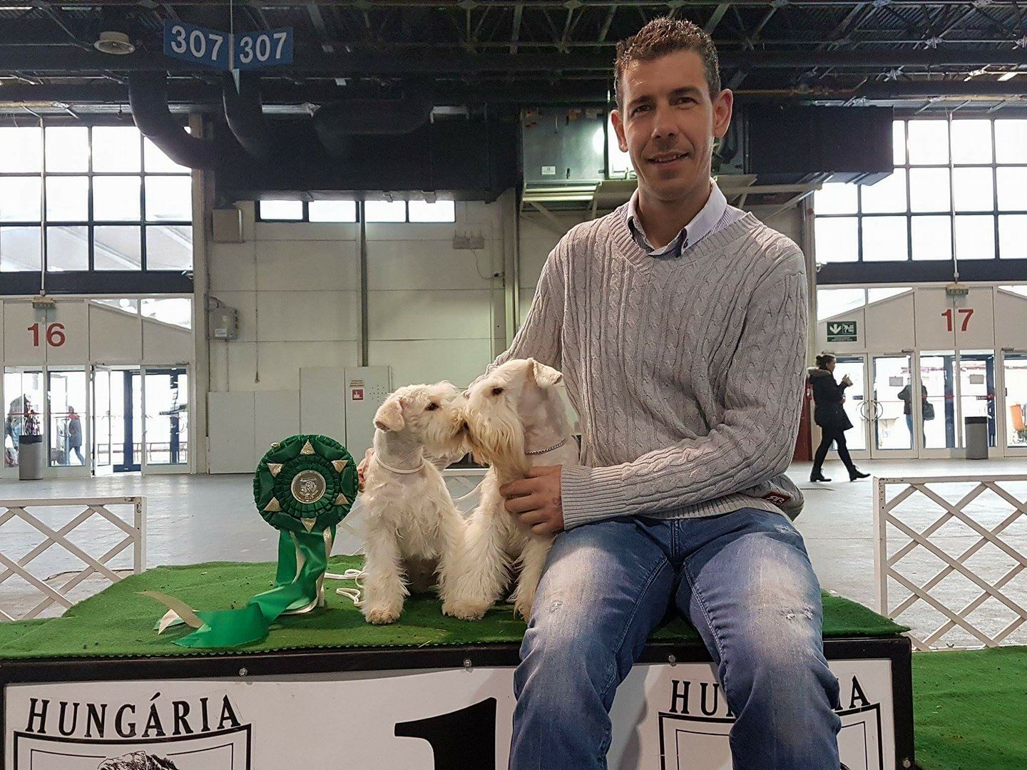 White-Gold Madonna Schnauzer Kennel