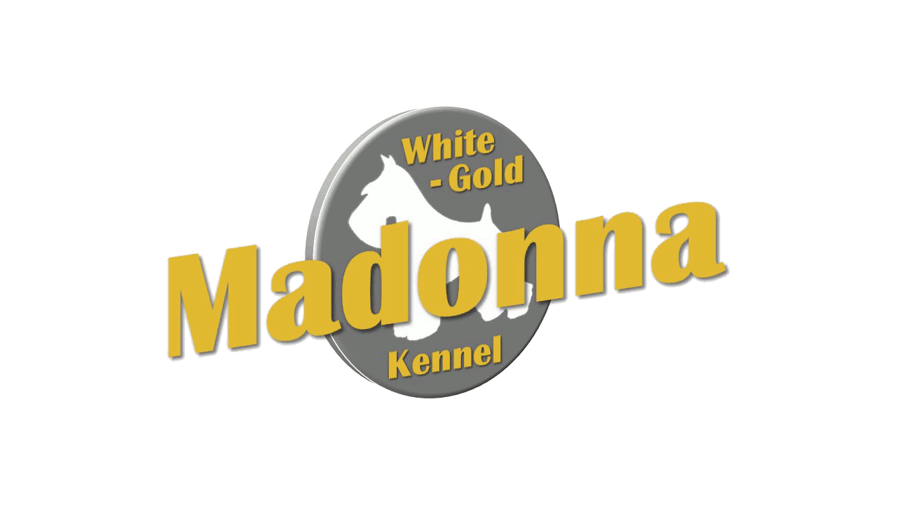 logoirasos.gif