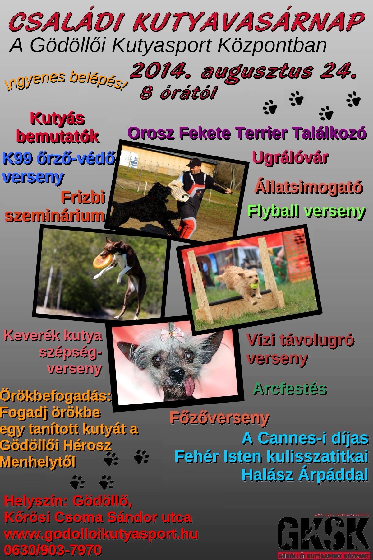 G&ouml;d&ouml;llői Kutyasport K&ouml;zpont 