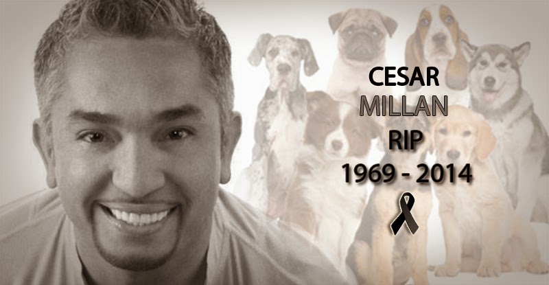 Elhunyt Cesar Millan, a "kutya suttógó"? ÁLHÍR!