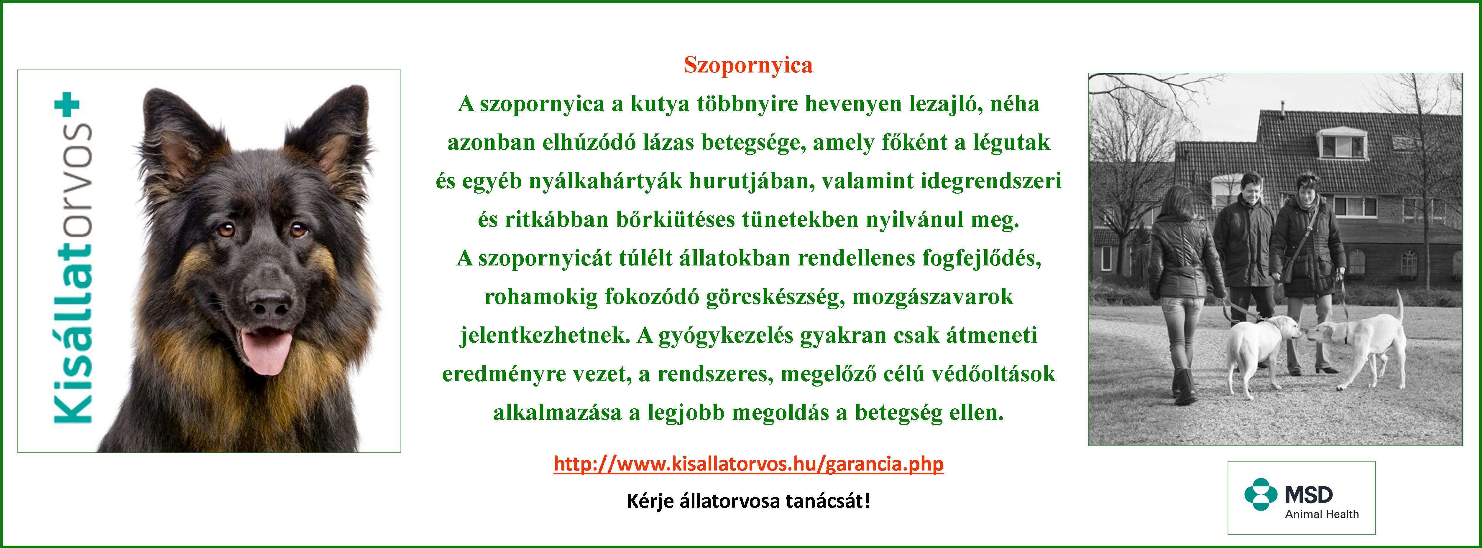Szopornyica