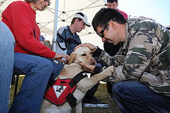 17078913769-1b750c2dd6-m.jpg