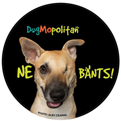 Dogmopolitan Jótékonysági Kutyafesztivál - Indul a "Ne bánts" kampány! 2018.07.21. Bókay-kert