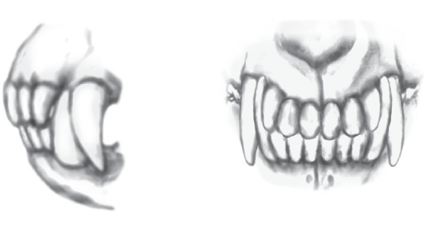 bite.png