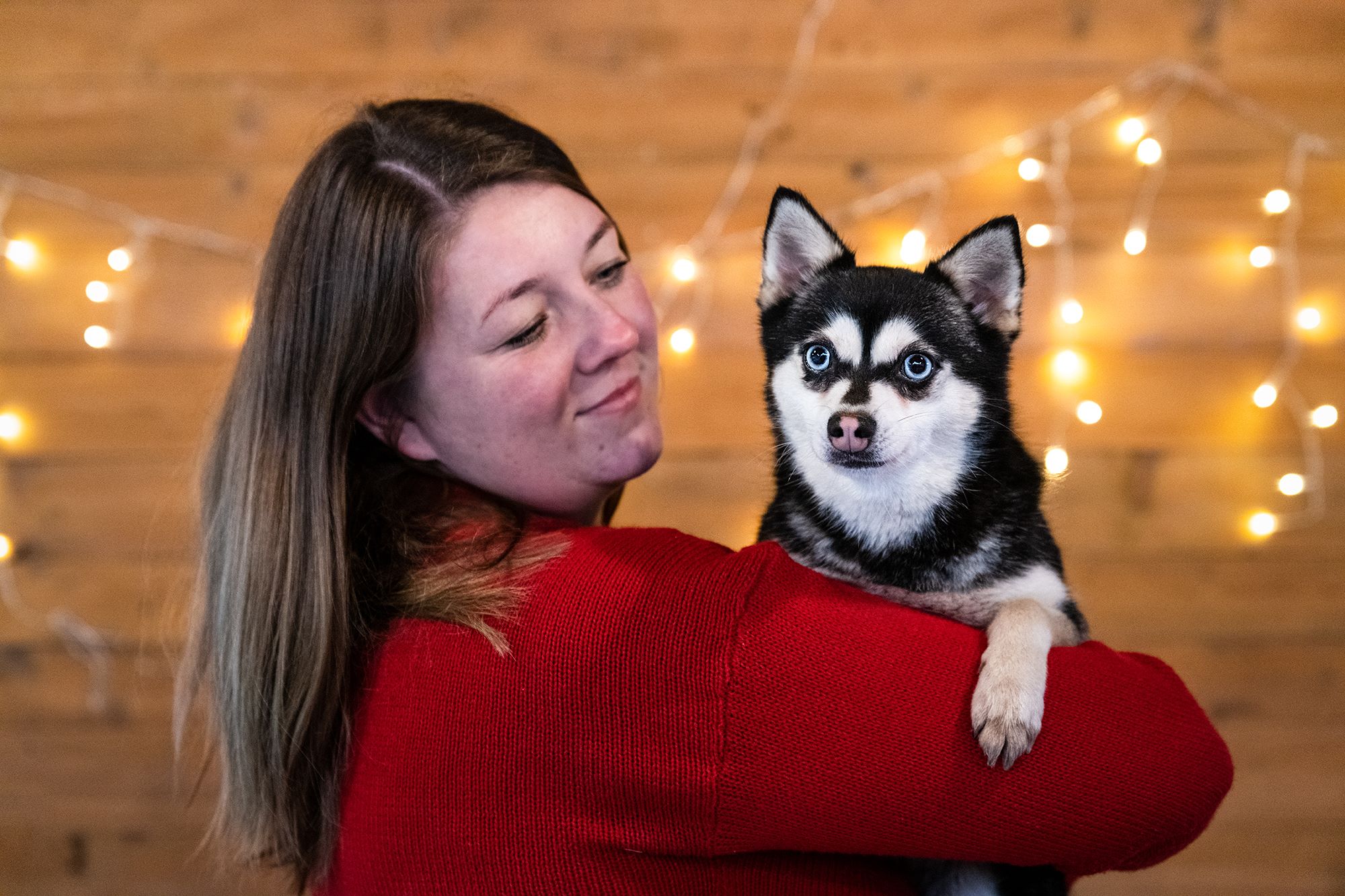 Alaszkai Klee Kai