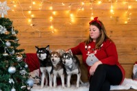 Dark dog force