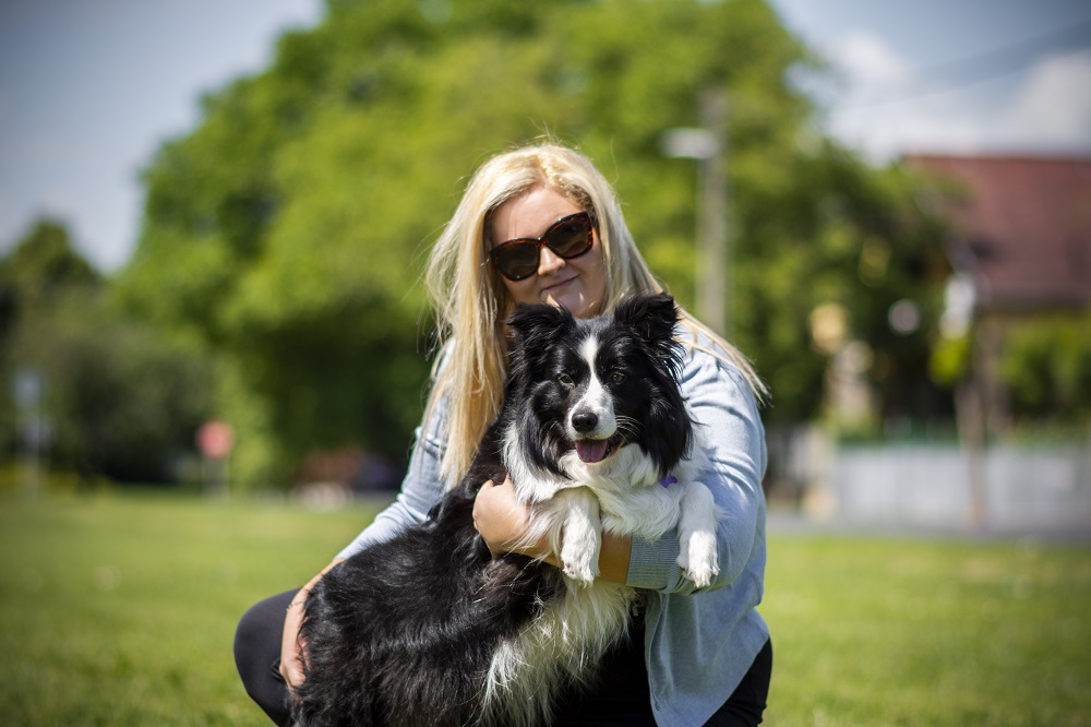 Shadow of The Sheen Border collie Kennel