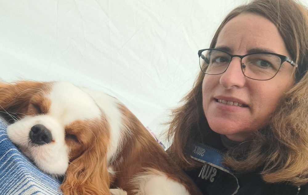 SzeTi's Best Cavalier kennel