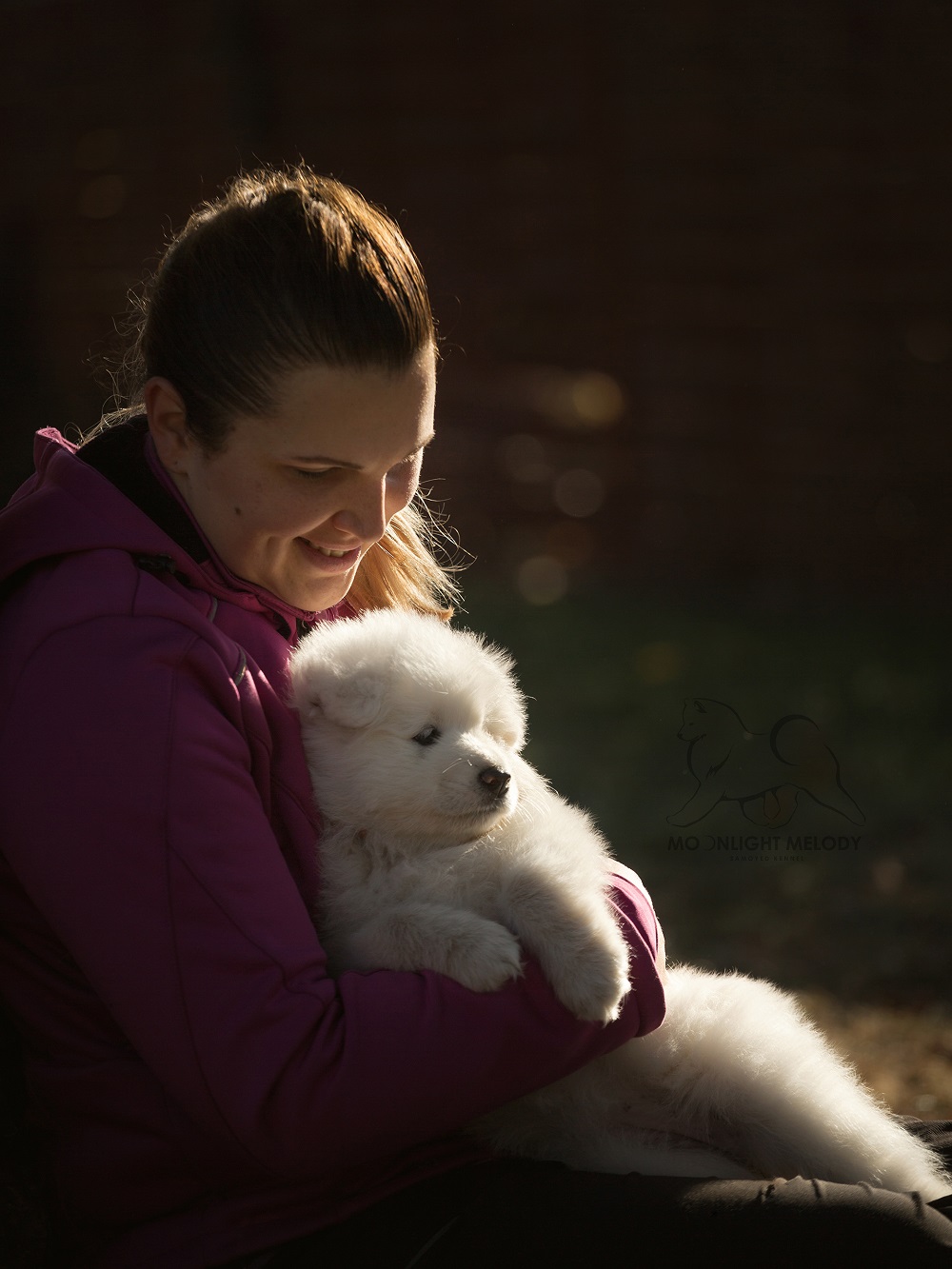 Moonlight Melody Samoyed Kennel