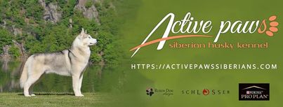 Active Paws Siberian Husky Kennel