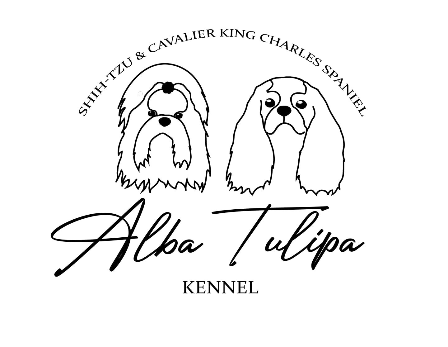 Alba Tulipa Kennel