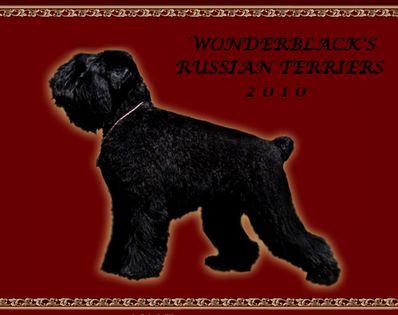Wonderblack\'s kennel