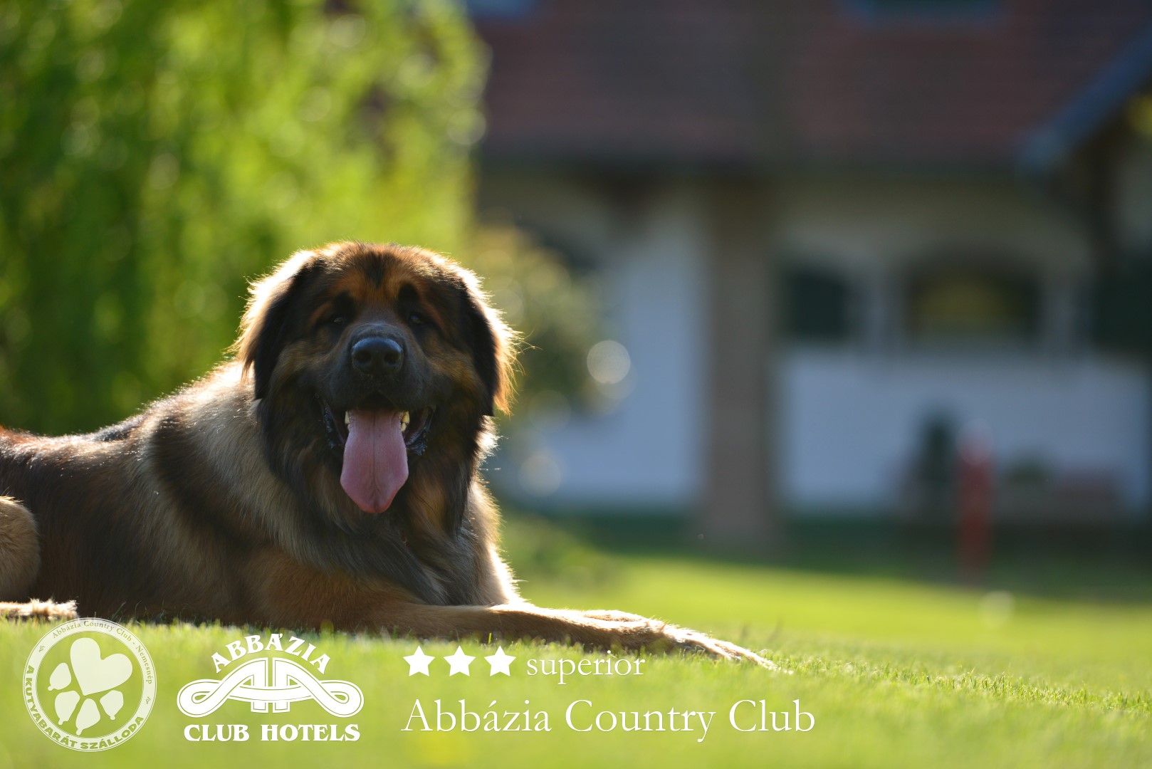 Abbázia Country Club 3***ˢᵘᵖ
