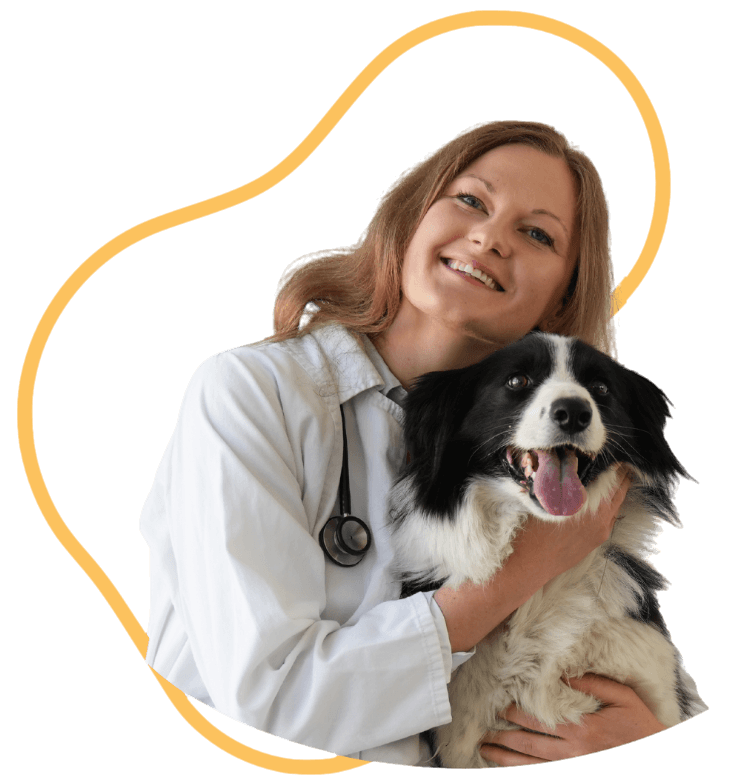 PetWiseCare