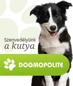 Dogmopolite Kutyapanziók
