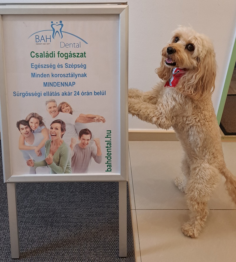 bahdental