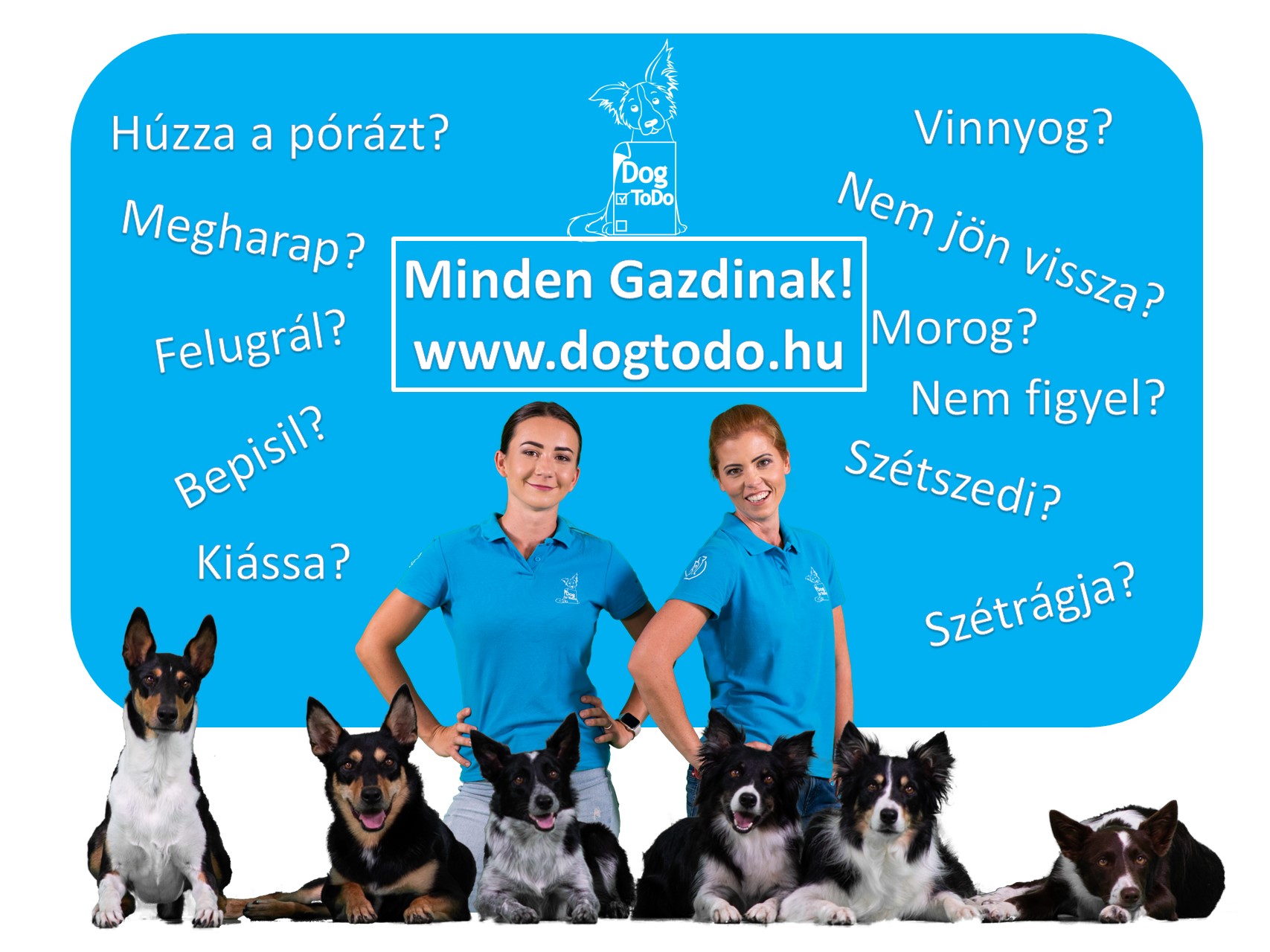 Dogtodo