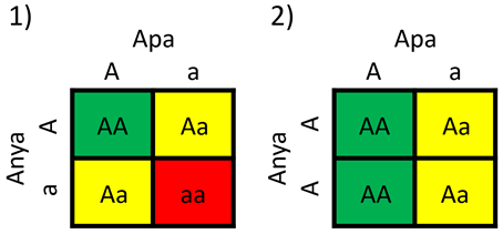 abra2_recesszivbetegsegek.png
