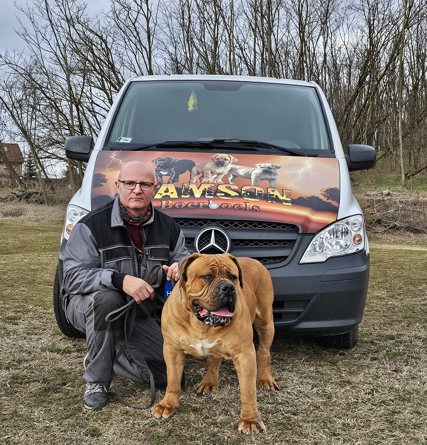BOERBOEL