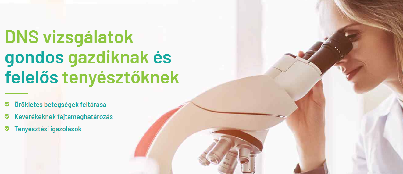 Kölyökkutya „garanciával”