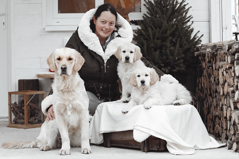 Golden Heart Helper