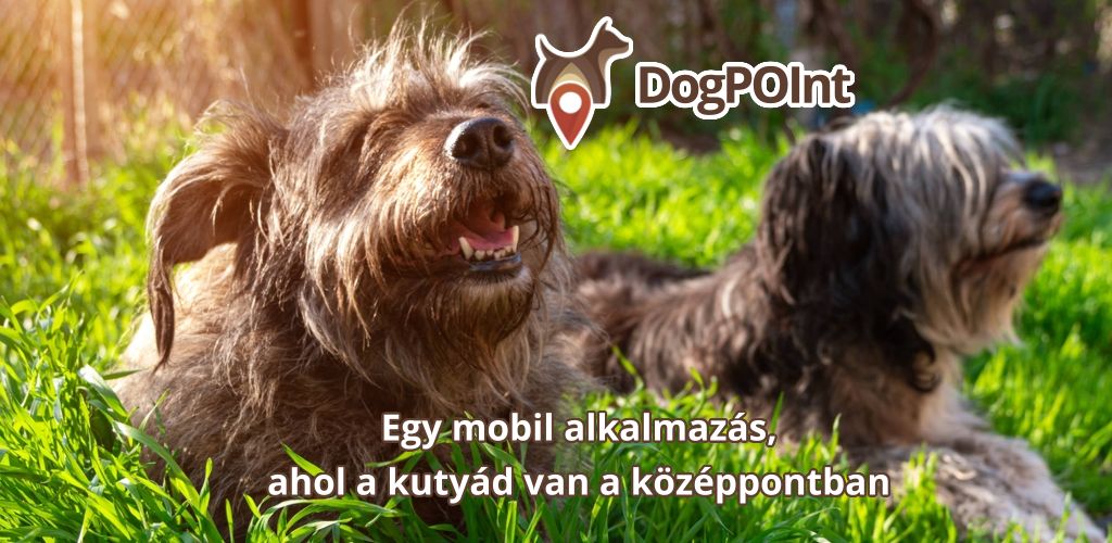 app-highlight.jpg