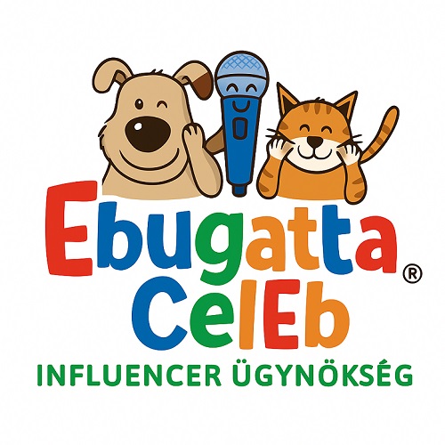 Ebugatta CelEbek a YouTube-on