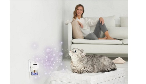 Miért választják a gazdik a FELIWAY® Optimumot?