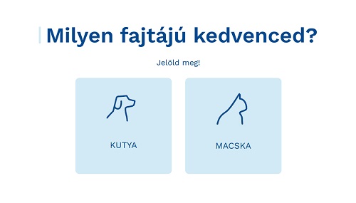 Milyen típusú kedvenced bőre?