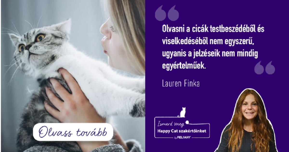 A stressz és a diszkomfort jelei a cicáknál