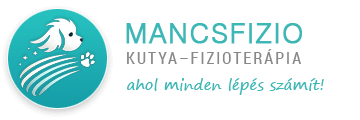 Mancsfizio Stúdió