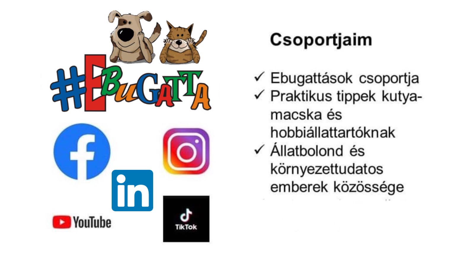 #ebugatta