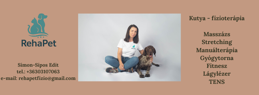 Rehapet