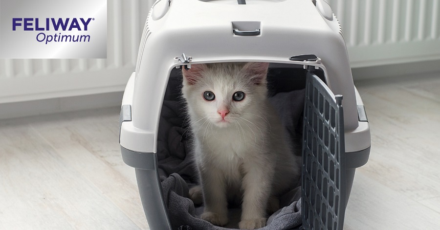 feliway_optimum_kiscica_utazosb.jpg