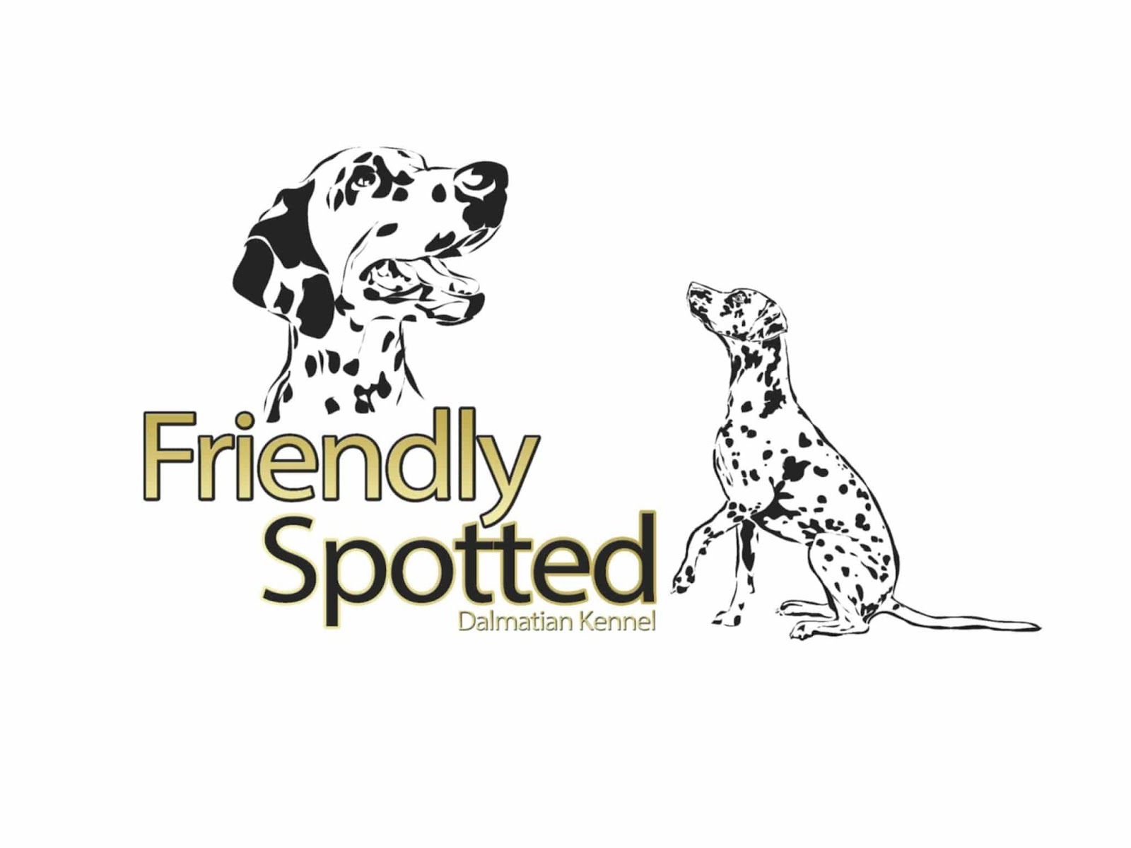 Friendly Spotted Dalmata Kennel